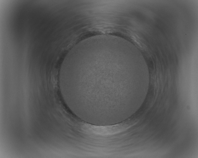 X0000071340030200606261327