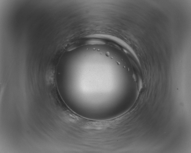 X0000071340033200606261327