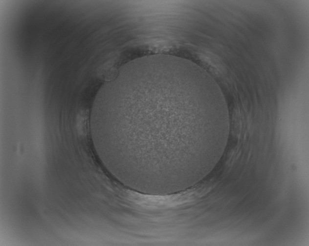 X0000071340034200606261327