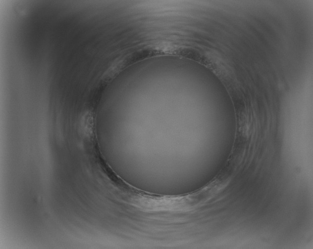 X0000071340036200606261327