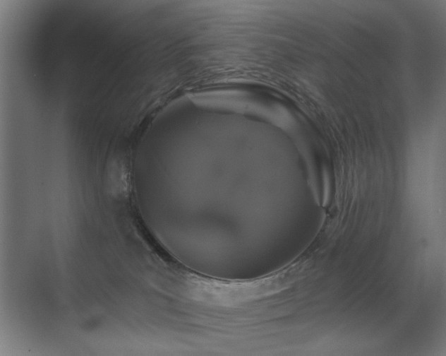 X0000071340039200606261327