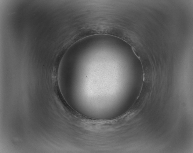X0000071340040200606261327