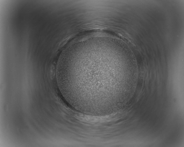 X0000071340043200606261327