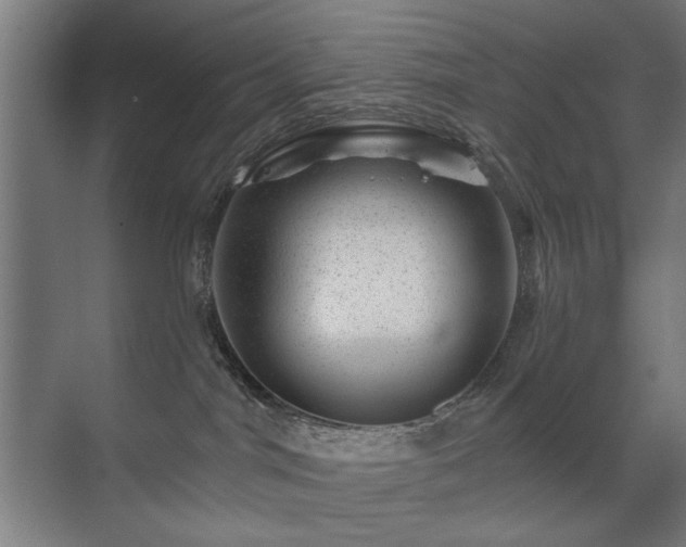 X0000071340044200606261327