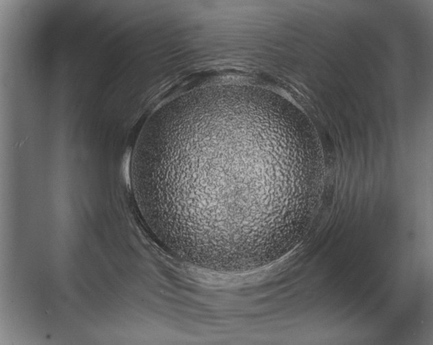 X0000071340047200606261327