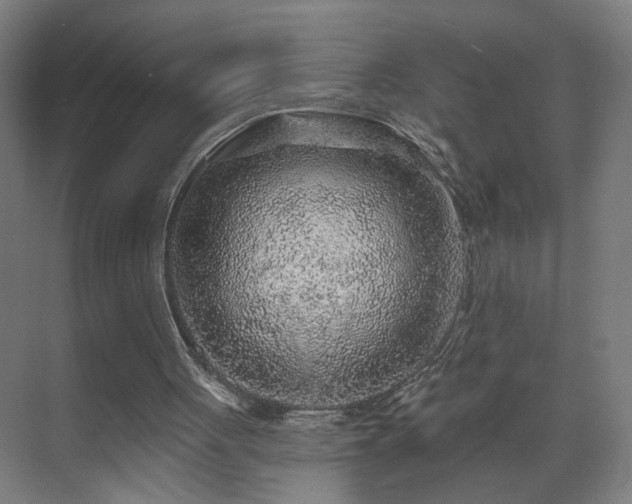 X0000071340051200606261326