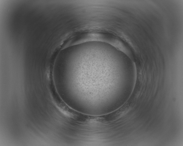 X0000071340072200606261326