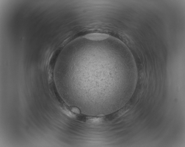 X0000071340081200606261327
