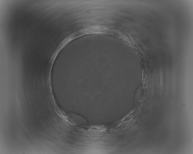 X0000071340099200606261326