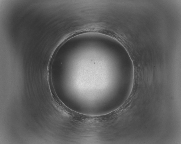 X0000071340100200606261326