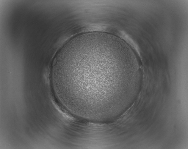 X0000071340107200606261326