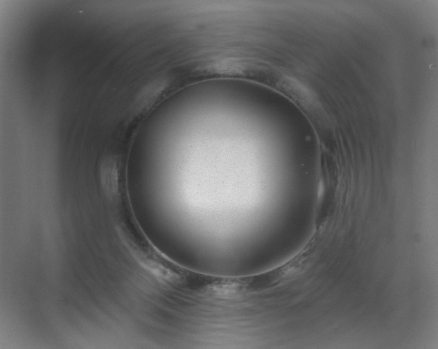X0000071340120200606261326