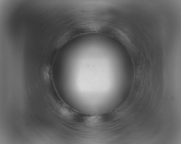 X0000071340122200606261326