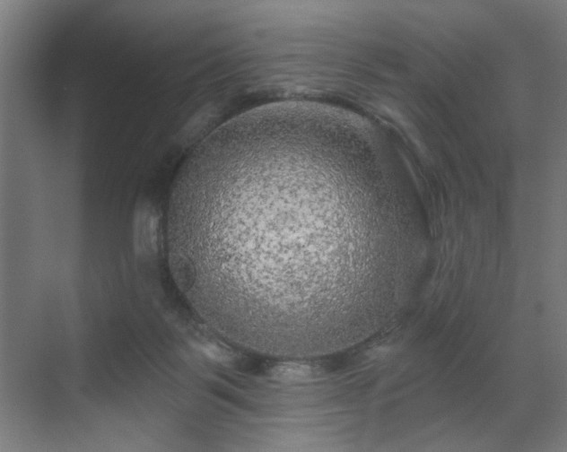 X0000071340123200606261326