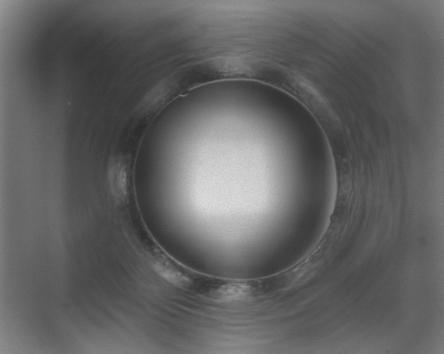 X0000071340124200606261326