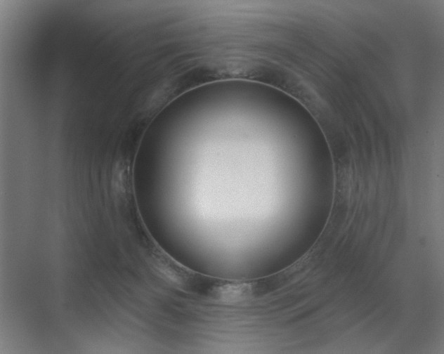 X0000071340126200606261326