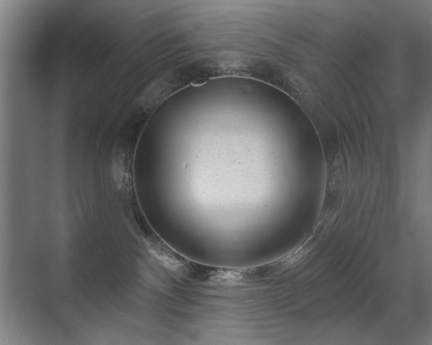 X0000071340140200606261325