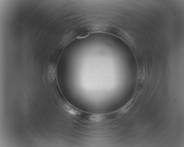 X0000071340142200606261325