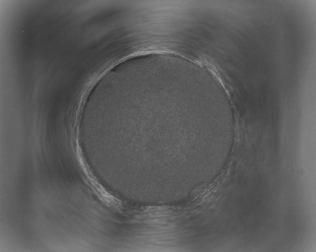 X0000071340145200606261324