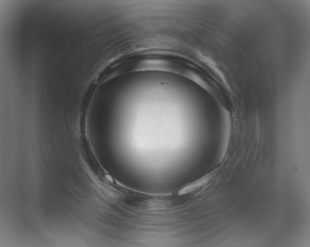 X0000071340154200606261325