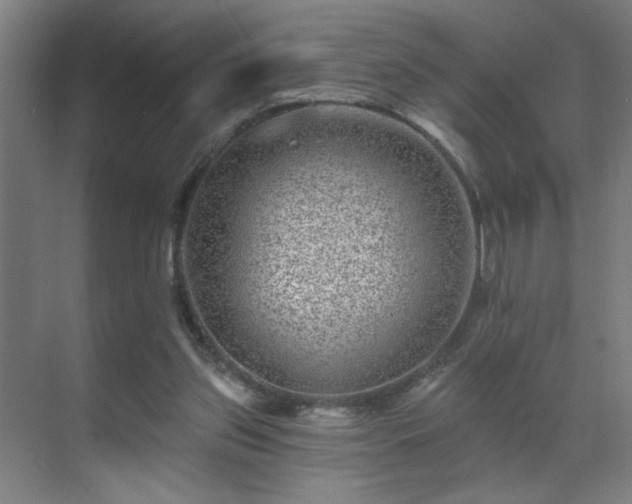 X0000071340157200606261325