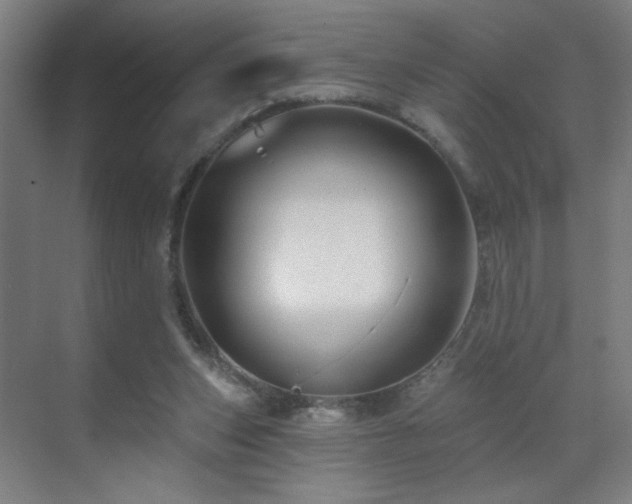 X0000071340159200606261325