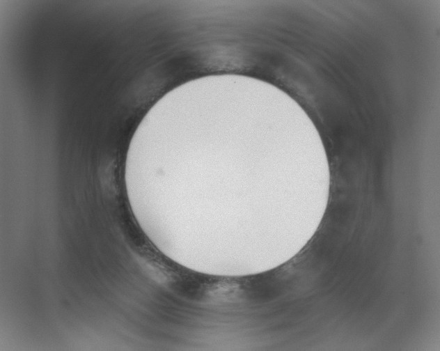 X0000071340162200606261325