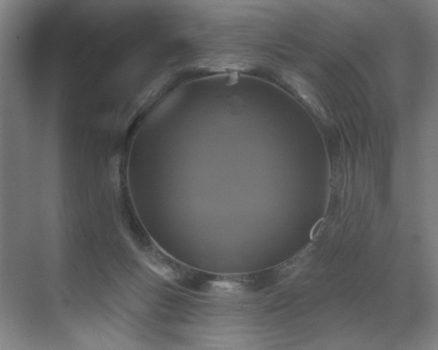 X0000071340167200606261325