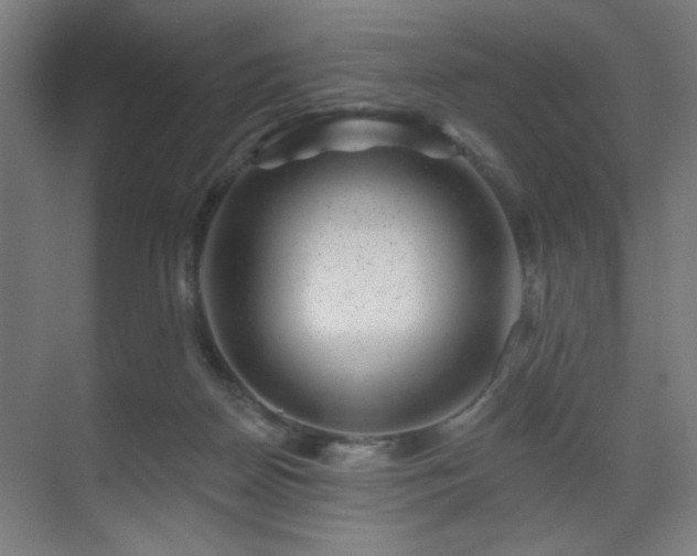 X0000071340170200606261325