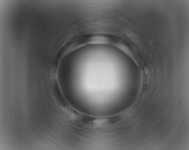 X0000071340172200606261325