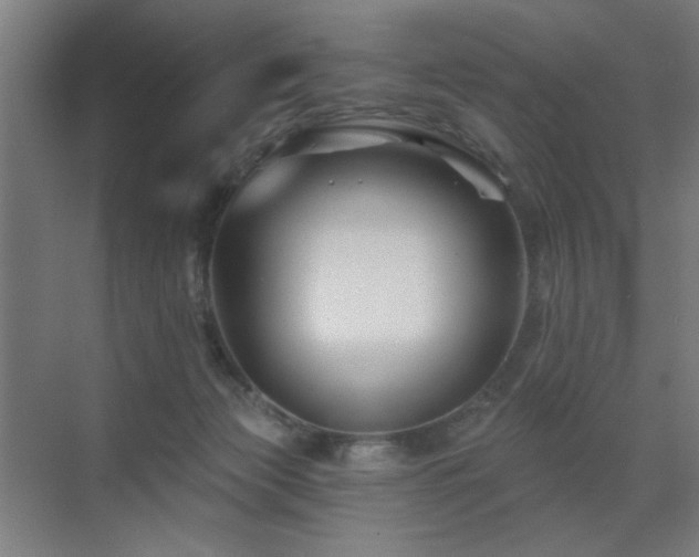 X0000071340173200606261325