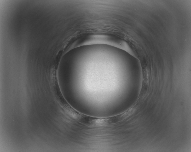 X0000071340184200606261325