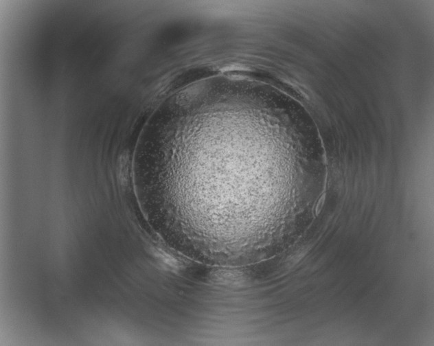X0000071340189200606261325
