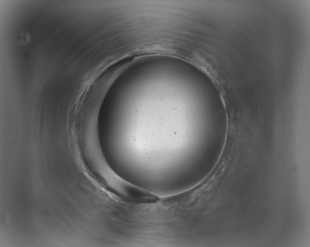 X0000071340193200606261324