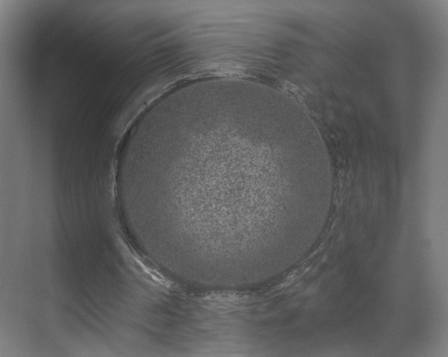 X0000071340194200606261324