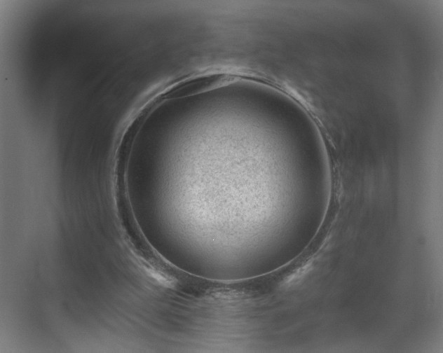 X0000071340199200606261324