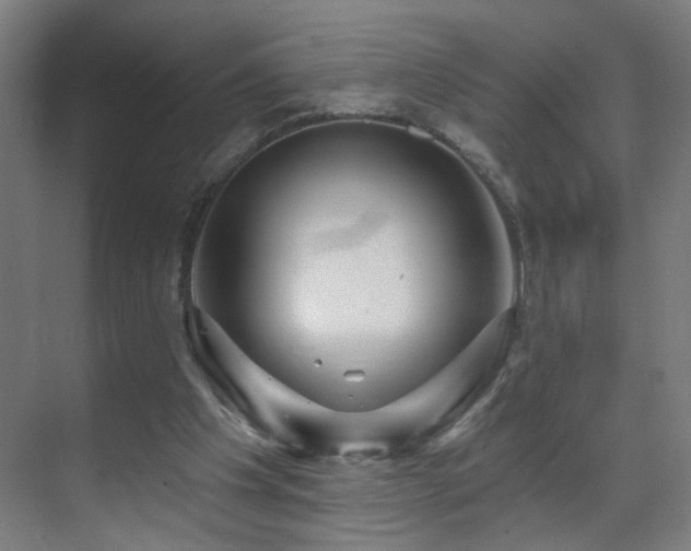 X0000071340201200606261324