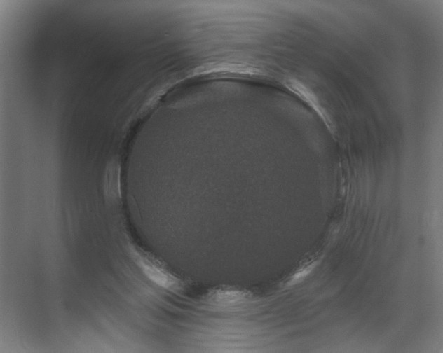 X0000071340205200606261324