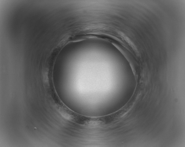 X0000071340209200606261324