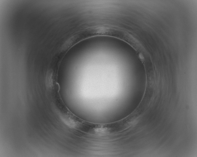 X0000071340216200606261324