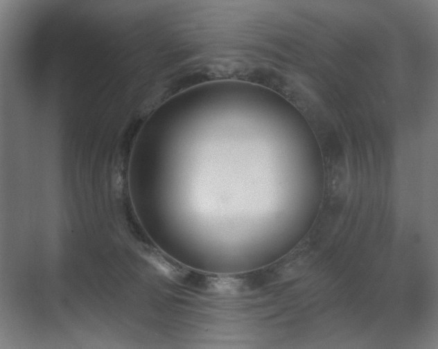 X0000071340226200606261324