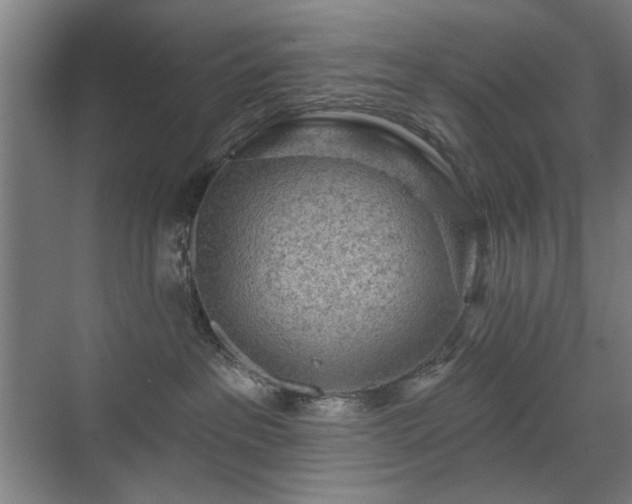 X0000071340237200606261324