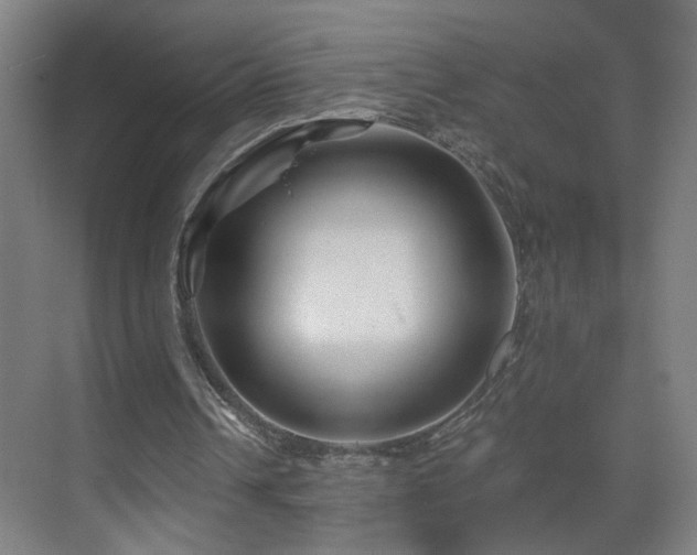 X0000071340242200606261323