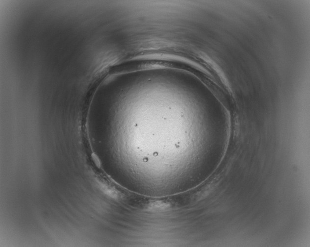 X0000071340257200606261323