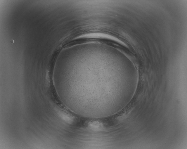 X0000071340258200606261323