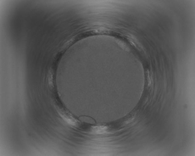 X0000071340266200606261323
