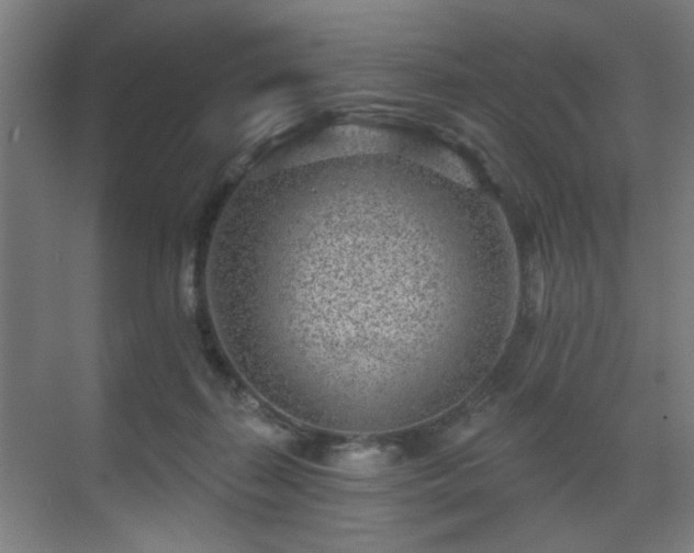 X0000071340267200606261323