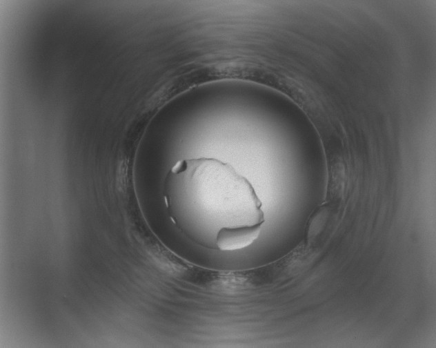 X0000071340278200606261323