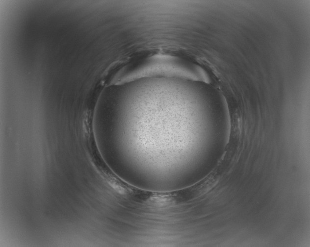 X0000071340280200606261323