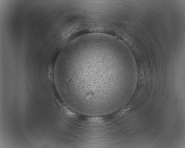 X0000071340281200606261323